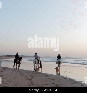 Drei Reiter mit ihren Hunden, während einer bei Sonnenuntergang am Strand in Essaouira, Marokko, am 5. Februar 2024 an einem Sandstrand aufspringt Stockfoto