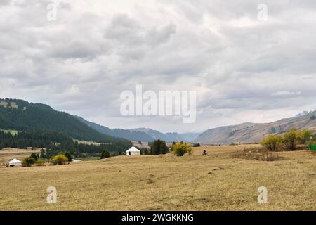 Weideland unter bewölktem Himmel in xinjiang, china Stockfoto