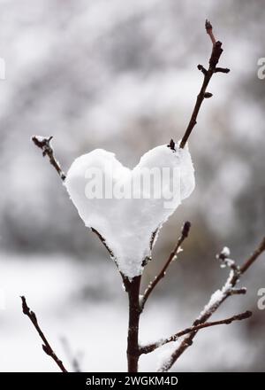 Schneeball in Form eines Herzens, der im Wintergarten an einem Baum hängt. Valentinstag, Liebe oder romantisches Konzept. Kopierbereich. Stockfoto