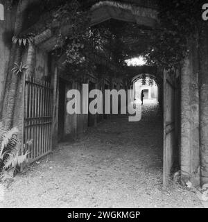 Die Egyptian Avenue auf dem Highgate Cemetery, London Stockfoto