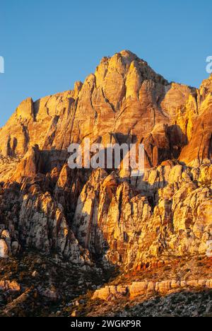 Der Mount Wilson erhebt sich über dem Wüstenboden der Red Rock Canyon National Recreation Area. Nevada. USA Stockfoto