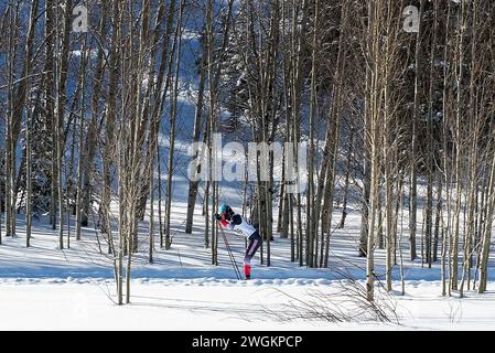 4. Februar 2024: Während des WCU Nordic 5K Classic Invitational fährt ein Skifahrer der Colorado Mesa University Doppelstöcke durch die Aspen. Crest Butte Nordic Center, Crest Butte, Colorado. Stockfoto