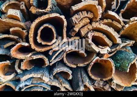 Kork Kork-Eiche (Quercus Suber), geerntet Stockfoto