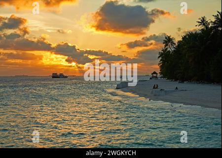 Vildifhoo, Malediven, eine tropische Insel im Indischen Ozean Stockfoto