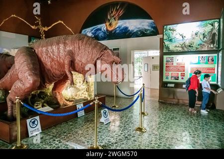 Merida Mexico, Centro, Museo de Historia Naturkundemuseum, Innenraum, Exponate Ausstellung Ausstellungen Sammlung, Sammlungen Galerie galleri Stockfoto