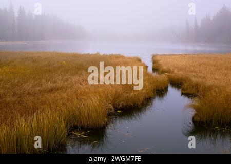 Morgens am Maxwell Lake mit einem frühen Nebel Stockfoto