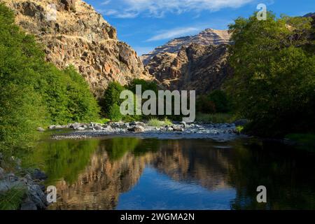 Imnaha Wild and Scenic River entlang Imnaha River Trail, Hells Canyon National Recreation Area, Oregon Stockfoto