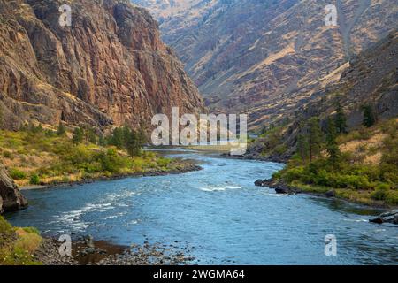 Snake Wild and Scenic River entlang des Stud Creek Trail, Hells Canyon National Recreation Area, Hells Canyon National Scenic Byway, Oregon Stockfoto