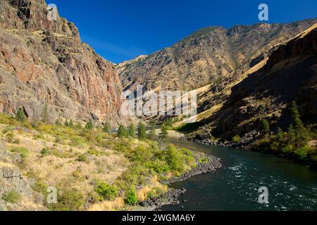 Snake Wild and Scenic River entlang des Stud Creek Trail, Hells Canyon National Recreation Area, Hells Canyon National Scenic Byway, Oregon Stockfoto