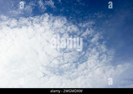 Foto von Kokospalmen und hellblauem Himmel und frischer Luft am Morgen Stockfoto