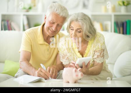 Ein paar Senioren sitzen mit Taschenrechner und zählen Geld Stockfoto