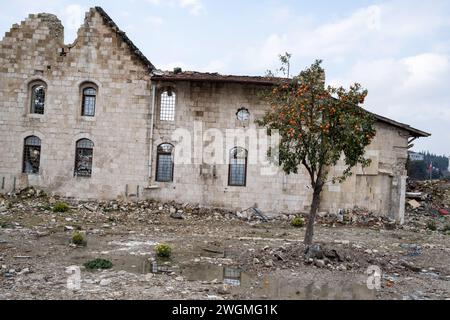 Hatay, Türkei. Februar 2024. Ein Orangenbaum, der das Erdbeben überlebt hat. Am 6. Februar 2023 ereignete sich in der Südtürkei ein Erdbeben der Stärke 7,8, dem kurz nach Mittag ein weiteres Erdbeben der Stärke 7,5 folgte. Mehr als 50.000 Menschen kamen bei dem Erdbeben ums Leben, das in 11 Städten der Türkei große Zerstörungen angerichtet hat. Quelle: SOPA Images Limited/Alamy Live News Stockfoto