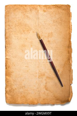 Blatt mit Spitze isoliert auf weißem Hintergrund Stockfoto