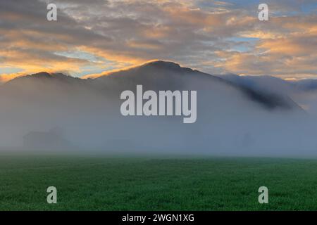 Alte Holzhütte bei Sonnenaufgang vor Bergen, Nebel, Sommer, Loisach-Kochelsee-Moor, Bayern, Deutschland, Europa Stockfoto