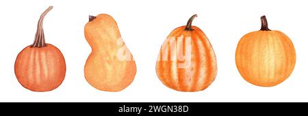 Handgemalte Kürbisse, isoliert auf weißem Hintergrund. Botanische Illustration mit Aquarell für Design Stockfoto