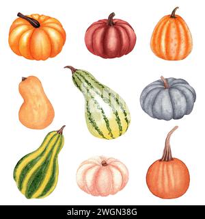 Set von Aquarellkürbissen isoliert auf weiß. Es ist perfekt für Thanksgiving-Karten oder Poster, halloween Stockfoto