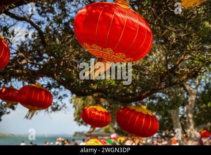 Rote Laternen hängen unter den Pohutukawa-Bäumen. Große Menschenmenge feiert chinesisches Neujahr in Mission Bay. Auckland. Stockfoto