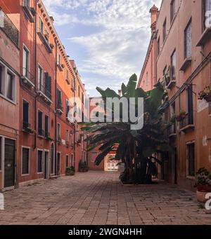 Tauchen Sie ein in die raffinierte Eleganz der venezianischen Architektur, wo jedes komplizierte Detail eine Geschichte von Schönheit und Pracht erzählt. Stockfoto