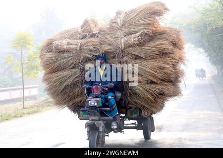 Tangail, Tangail, Bangladesch. Februar 2024. Ein Fahrer in Tangail lädt seinen dreirädrigen Van mit Paddy Stroh zum Verkauf auf den Markt. Paddy Stroh ist ein Nebenprodukt für Landwirte und sie verkaufen es an Großhändler für 5 bis 7 US-Dollar pro 100 kg. Das Stroh wird dann von den Großhändlern für zwischen 8 und 10 US-Dollar verkauft. Die Landwirte verwenden Heu als Futter und Einstreu für ihre Viehzucht. Stroh wird für verschiedene andere Zwecke verwendet, darunter für Haustüren und eine Form von Biokraftstoff. (Kreditbild: © Syed Mahabubul Kader/ZUMA Press Wire) NUR REDAKTIONELLE VERWENDUNG! Nicht für kommerzielle ZWECKE! Quelle: ZUMA Press, Inc./Alamy Live News Stockfoto