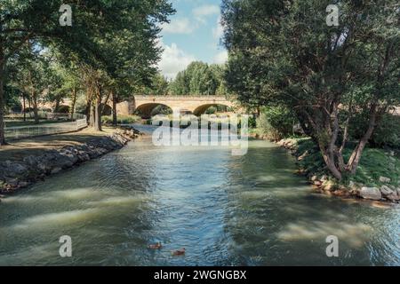 Römische Brücke über einen mächtigen Fluss, umgeben von Bäumen. Aguilar de Campoo Stockfoto