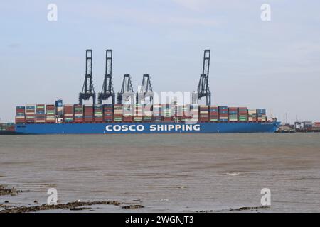 400 m lang, 196670 Tonnen, Cosco Shipping Pisces entladen am Felixstowe Dock nach Ankunft aus Singapur am 5. Februar 2024. Nächster Hafen Zeebrugge. Stockfoto