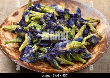 Schüssel mit getrockneten blauen Schmetterlingserbsen-Teeblüten aus nächster Nähe Stockfoto