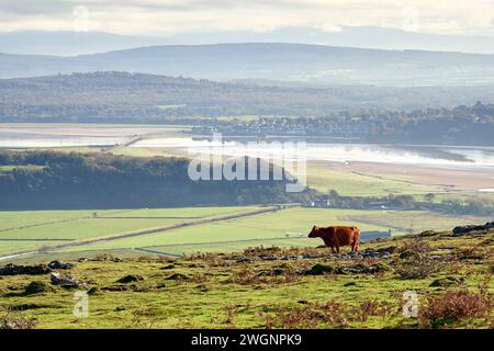 Arnside und die Mündung des Flusses Kent von Hampsfell aus gesehen. Stockfoto