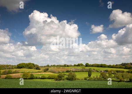 Großbritannien, England, Suffolk, Stoke by Nayland, Blick über das Dedham Vale Stockfoto