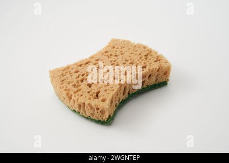 Schwamm auf weißem Hintergrund isoliert Stockfoto
