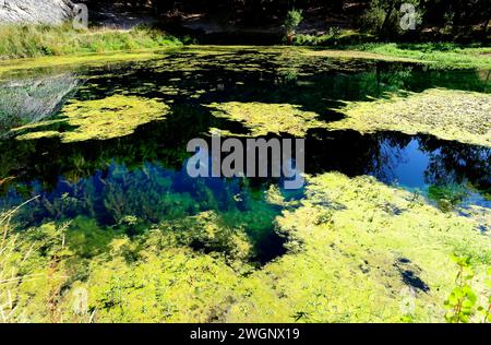 La Fuentona de Muriel Naturdenkmal, Quelle des Flusses Abion. Muriel de la Fuente, Provinz Soria, Castilla y Leon, Spanien. Stockfoto