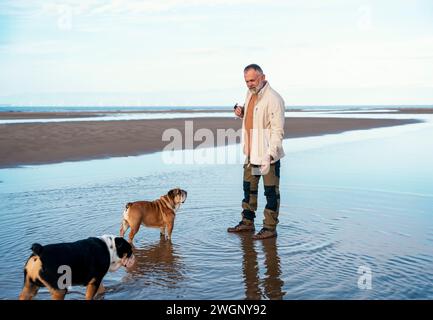 Fröhlicher Rentner mit englischen Bulldoggen, die mit den Hunden in der Mitte der Pfütze reden. Hundeausbildung. Glückliche Zeit und Reise mit Freunden, Hunden, fami Stockfoto