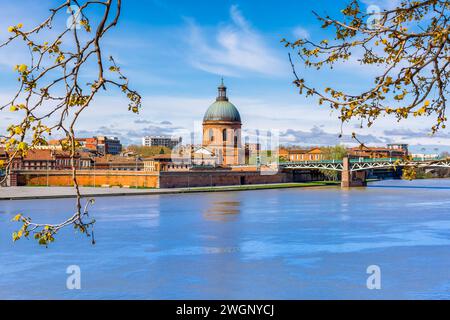 Malerischer Blick auf die Stadt Toulouse in Frankreich mit dem Fluss Garonne und den Frühlingssprossen im Vordergrund Stockfoto