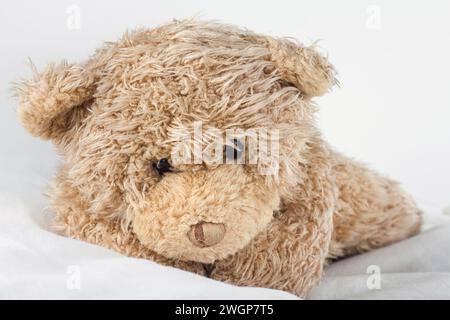 Teddybär schläft im Bett Stockfoto