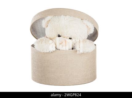 Teddybär in einer Geschenkbox isoliert auf weißem Hintergrund Stockfoto
