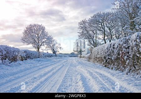 Ruhige Landstraße auf Farmland in Cumbria, England, nach starkem Schneefall. Schneebedeckte Bäume und Hecken und Fahrzeugspuren im Schnee auf der Straße. Stockfoto