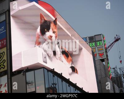 TOKIO, JAPAN - 19. Januar 2024: Eine 3D-Werbetafel mit einer Katze in einem Gebäude in Tokio Shinjuku. Stockfoto
