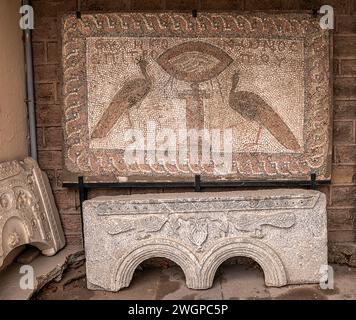 01, 09, 2024, Konya, Türkei, Pfauenmosaik im archäologischen Museum Stockfoto