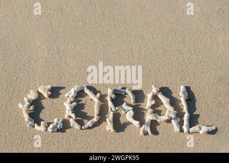 Das Wort "Koralle" steht im Sand mit toten Korallen am Roten Meer. Konzept zur Erwärmung der Meere. Stockfoto