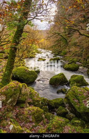 Der Afon Dwyryd River im Eryri Nationalpark (Snowdonia) zwischen Blaenau Ffestiniog und Maentwrog Stockfoto