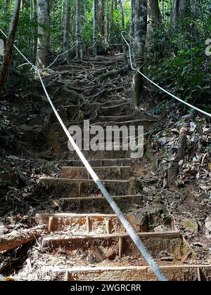 Café in Gunung Lambak, Kluang, Malaysia Stockfoto