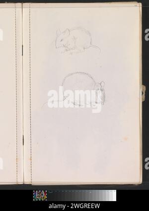 Mäuse, ca. 1928 - ca. 1930 Seite 23 aus einem Skizzenbuch mit 51 Blättern. Papier. Bleistiftnagetiere: Maus Stockfoto
