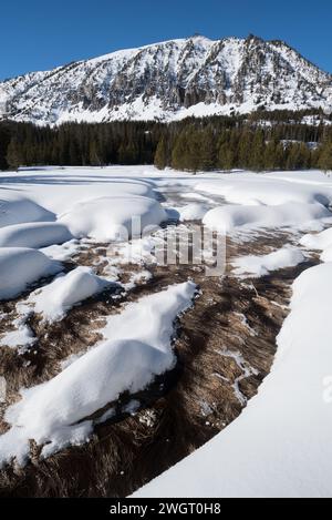 Lower Aneroid Basin, Eagle Cap Wilderness, Oregon. Stockfoto