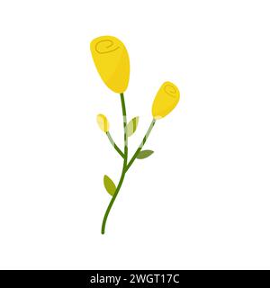 Hand gezeichnet einfache gelbe Rose naiv, Frühlingssommerpflanze auf weißem isoliertem Hintergrund Vektor Stock Vektor