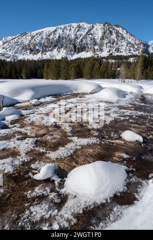 Lower Aneroid Basin, Eagle Cap Wilderness, Oregon. Stockfoto