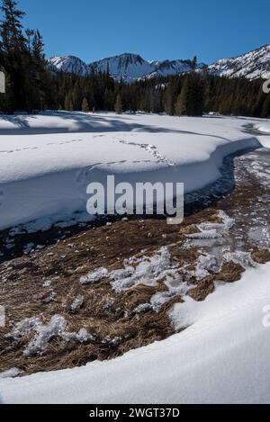 Lower Aneroid Basin, Eagle Cap Wilderness, Oregon. Stockfoto