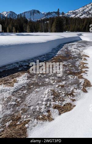 Lower Aneroid Basin, Eagle Cap Wilderness, Oregon. Stockfoto