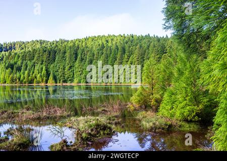 See Sieben Cities oder Lagoa das sete cidades ist ein vulkanischer See auf der Insel São Miguel auf den Azoren in Portugal Stockfoto