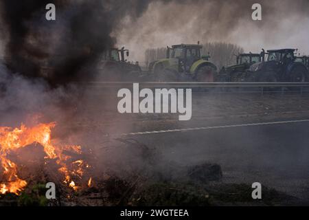 La Fondarella, Lleida, Spanien. Februar 2024. Hunderte katalanischer Bauern und Viehzüchter blockieren den Zugang zur A-2 in La Fondarella, Lleida mit ihren Traktoren und schließen sich den Protesten auf europäischer Ebene im ersten Sektor an. Die Landwirte fordern ein Ende des unlauteren Wettbewerbs für Erzeugnisse, die aus Drittländern eingeführt werden, Unterstützung angesichts überhöhter Preise aufgrund der Auswirkungen der Dürre und Erleichterung der Bürokratie. (Kreditbild: © Marc Asensio Clupes/ZUMA Press Wire) NUR REDAKTIONELLE VERWENDUNG! Nicht für kommerzielle ZWECKE! Stockfoto