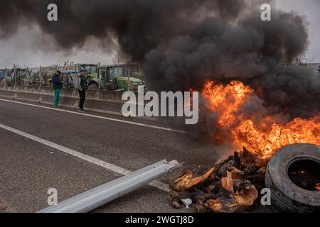 La Fondarella, Lleida, Spanien. Februar 2024. Hunderte katalanischer Bauern und Viehzüchter blockieren den Zugang zur A-2 in La Fondarella, Lleida mit ihren Traktoren und schließen sich den Protesten auf europäischer Ebene im ersten Sektor an. Die Landwirte fordern ein Ende des unlauteren Wettbewerbs für Erzeugnisse, die aus Drittländern eingeführt werden, Unterstützung angesichts überhöhter Preise aufgrund der Auswirkungen der Dürre und Erleichterung der Bürokratie. (Kreditbild: © Marc Asensio Clupes/ZUMA Press Wire) NUR REDAKTIONELLE VERWENDUNG! Nicht für kommerzielle ZWECKE! Stockfoto