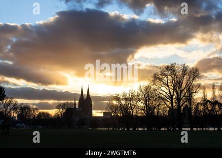 Blick vom Rheinpark im Stadtteil Deutz über den Rhein bis zum Dom, Köln. Blick vom Rheinpark in Deutz ueber den Rhein zu Stockfoto